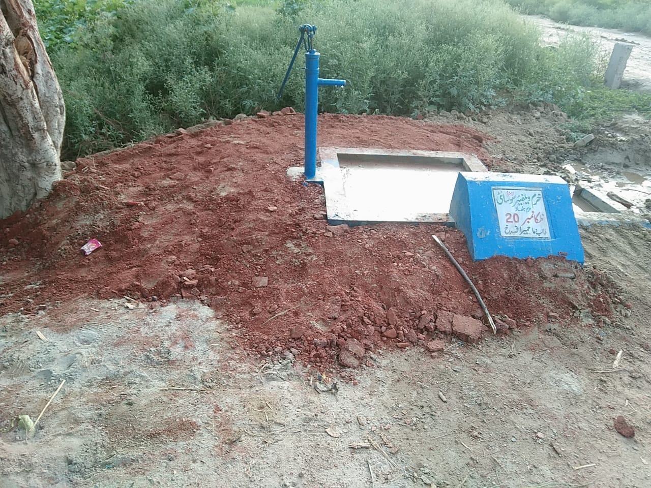 Gallery image 11